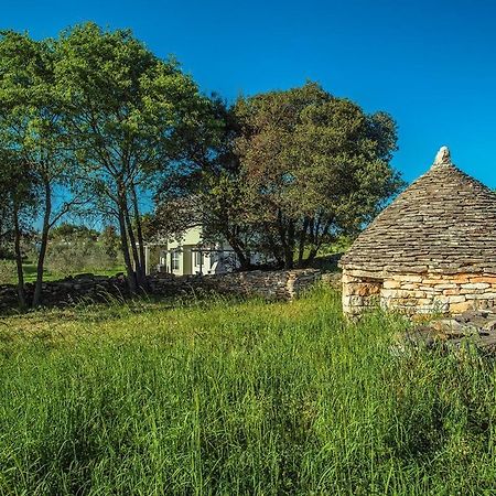 Holiday Home Bellissima Vodnjan Bagian luar foto